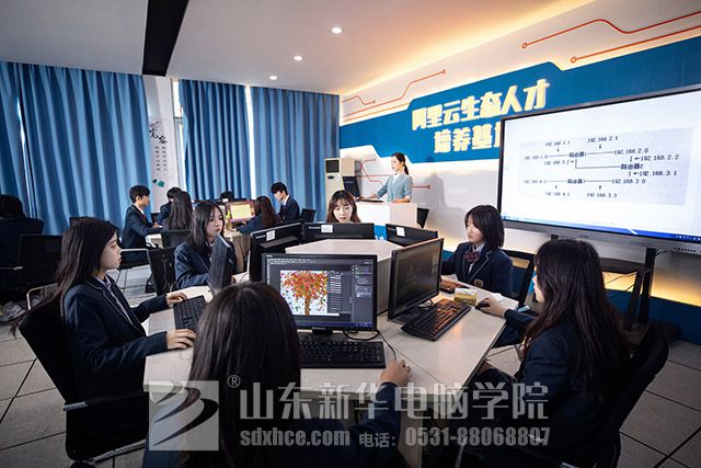 零基础没文凭学什么技术好