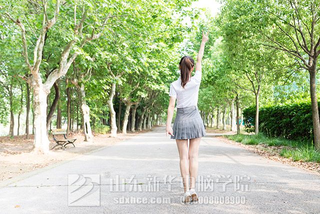 适合女生学的技术