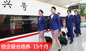 轨道交诵与航空服务